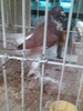 Imag054
