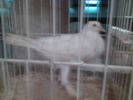Imag055