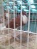 Imag057