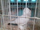 Imag058