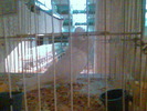 Imag060