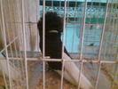 Imag062