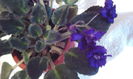 2015-02-15 09.37.50