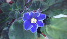 2015-02-15 09.38.34