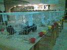 Imag094