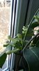 20150215_134040