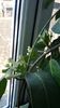 20150215_133758