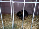 DSCN0053