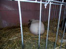 DSCN0054