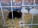 DSCN0056