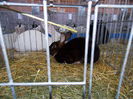 DSCN0057