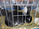 DSCN0058