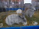DSCN0059