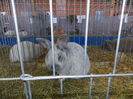 DSCN0062