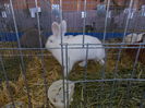 DSCN0065