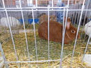 DSCN0067