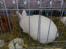 DSCN0068