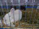 DSCN0069