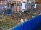 DSCN0072