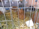 DSCN0073