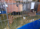 DSCN0074