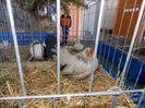 DSCN0077