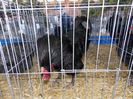 DSCN0085