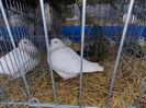 DSCN0161