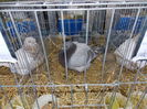 DSCN0162