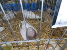DSCN0163