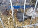 DSCN0164