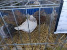 DSCN0165