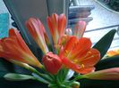 20150216_122107