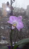 CAM00400