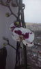 CAM00401