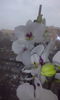 CAM00402
