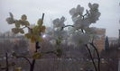 CAM00403