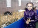 Expo Rasnov 2015 (45)