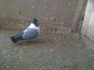 Imag 013106