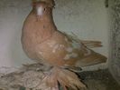 IMG-20141116-01175