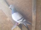 Image0144