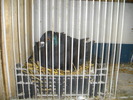 IMGP3356