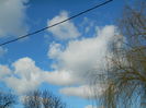 DSCN1977
