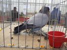 20150215_112024