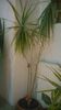 WP_20150218_004