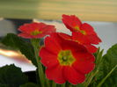 DSCN3506