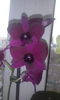 CAM00406