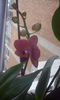 CAM00414