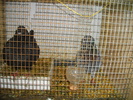 IMGP3382