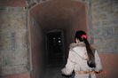 Picture 061
